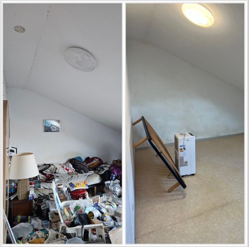 Nettoyage Diogène France - Avant/Après