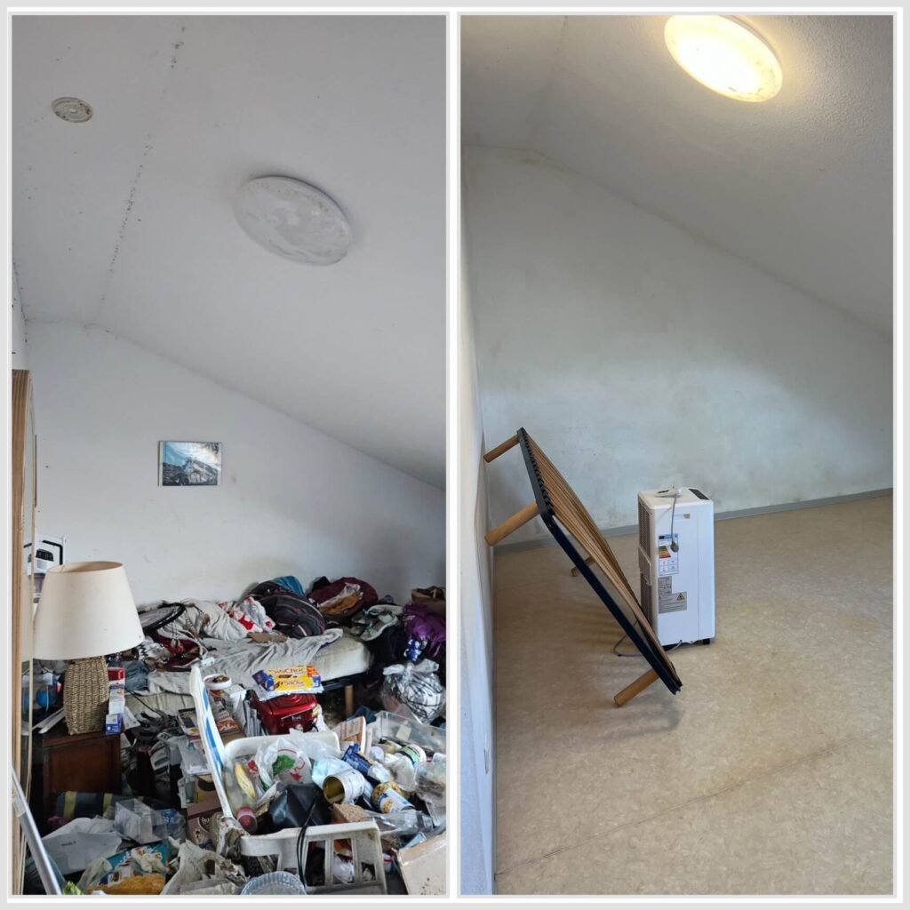 Nettoyage Diogène France - Avant/Après